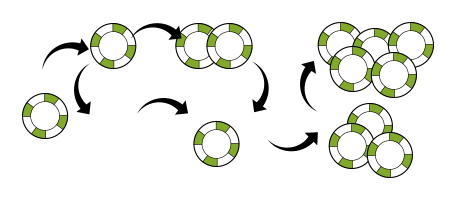 Der har været utallige forsøg på at opfinde indsatssystemer, der kan give gevinst i roulette. Næsten alle roulette strategier der bliver brugt i dag, er en eller anden version af de klassiske strategier