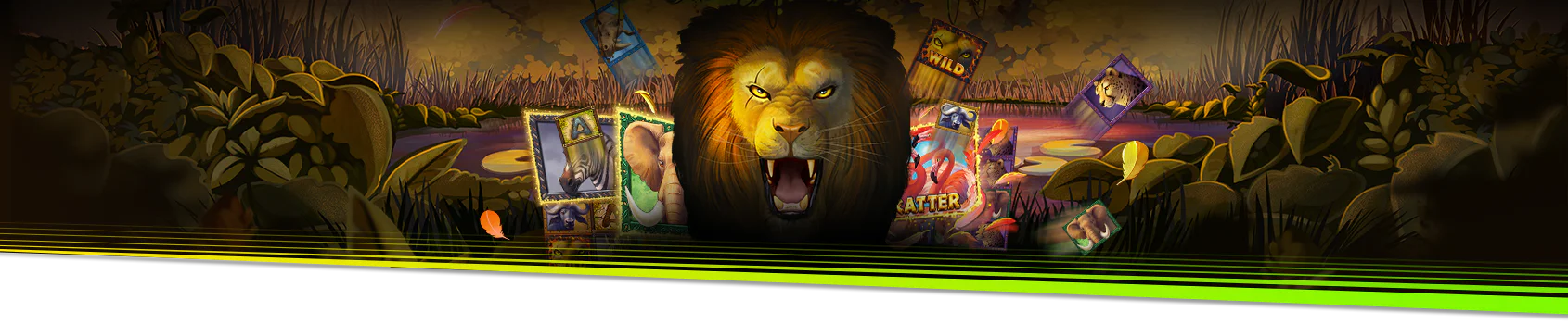 Safari-Riches_PC_1920-1689084998836_tcm1870-592190